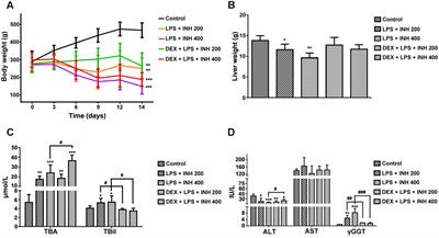 Dexamethasone Pretreatment Alleviates Isoniazid/Lipopolysaccharide Hepatotoxicity: Inhibition of Inflammatory and Oxidative Stress